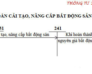 So Do Chu T Tai Khoan 217 Tt133 02