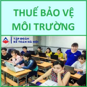 Hạch toán thuế bảo vệ môi trường theo TT 133 và TT 200