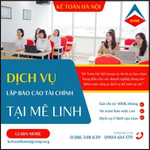 Dich Vu Lap Bao Cao Tai Chinh Tai Me Linh